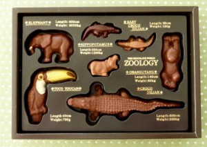 ZOOLOGYチョコレート
